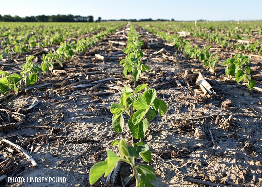 The Great Debate What's the Ideal Row Spacing for Planting Soybeans